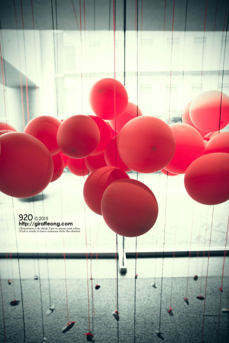 IMG_3488-tagged のコピー