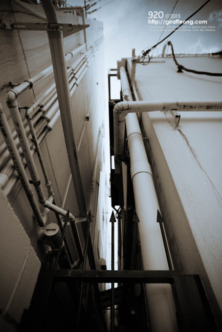 IMG_3502-Edit のコピー